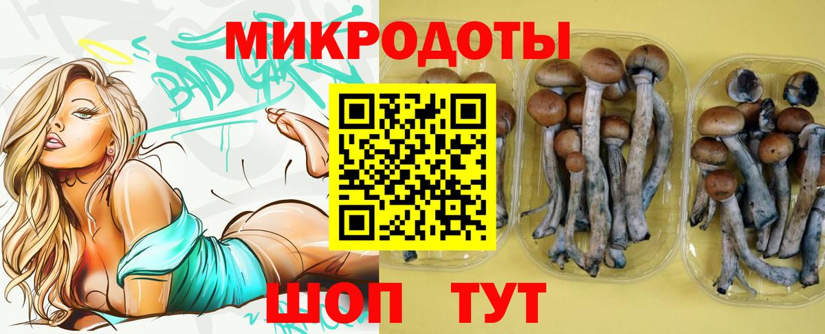 закладка  Вход с VPN  Богородицк  Псилоцибиновые грибы MAGIC MUSHROOMS 